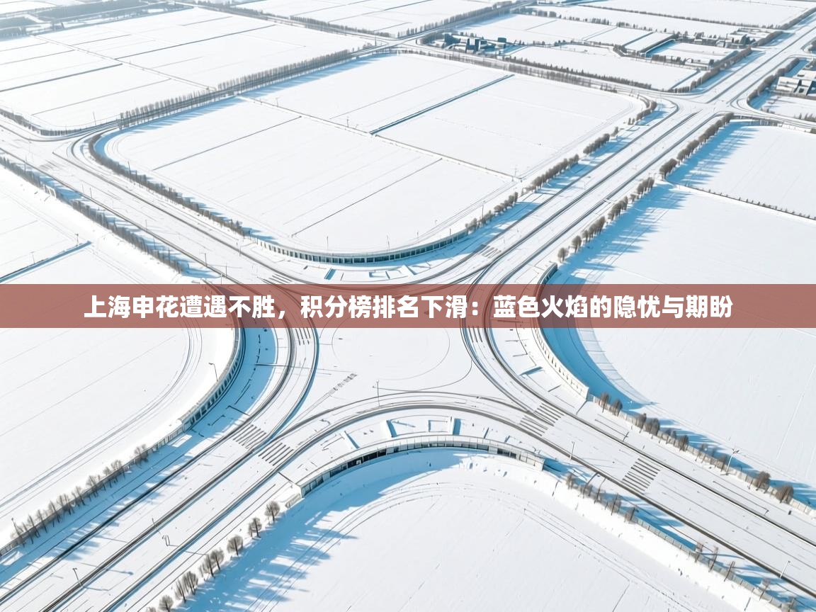 上海申花遭遇不胜,积分榜排名下滑:蓝色火焰的隐忧与期盼 第2张