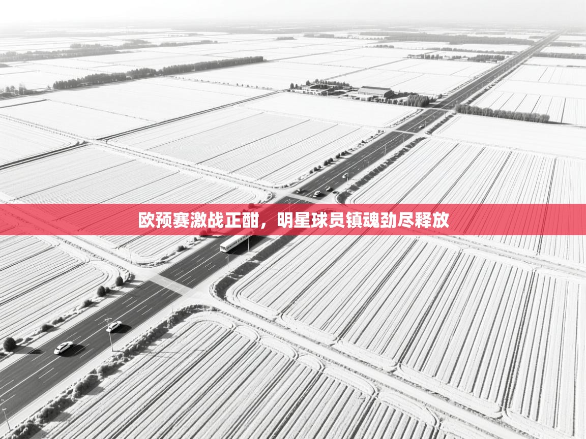 欧预赛激战正酣，明星球员镇魂劲尽释放