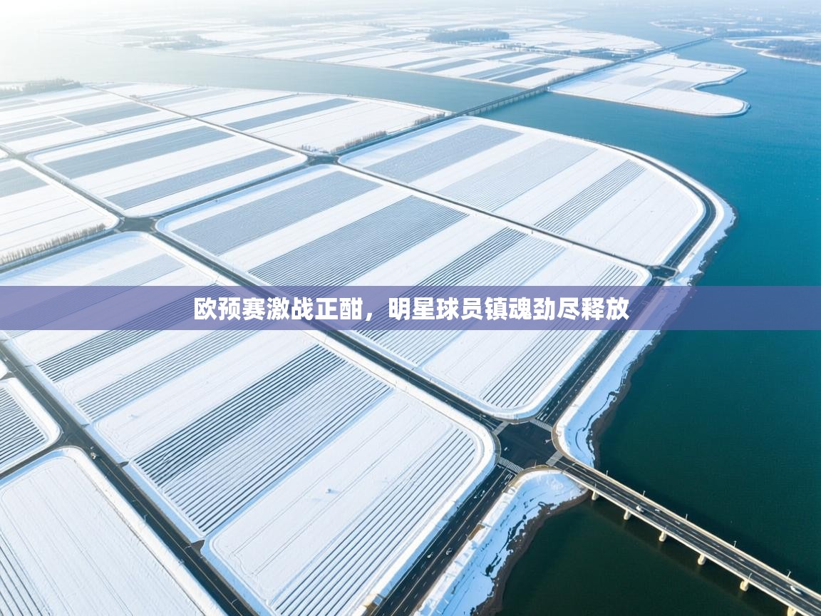 欧预赛激战正酣，明星球员镇魂劲尽释放  第2张