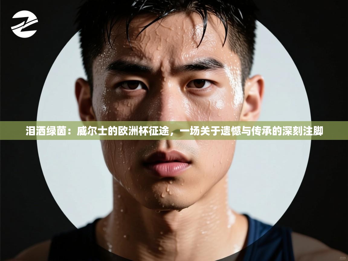 泪洒绿茵：威尔士的欧洲杯征途，一场关于遗憾与传承的深刻注脚