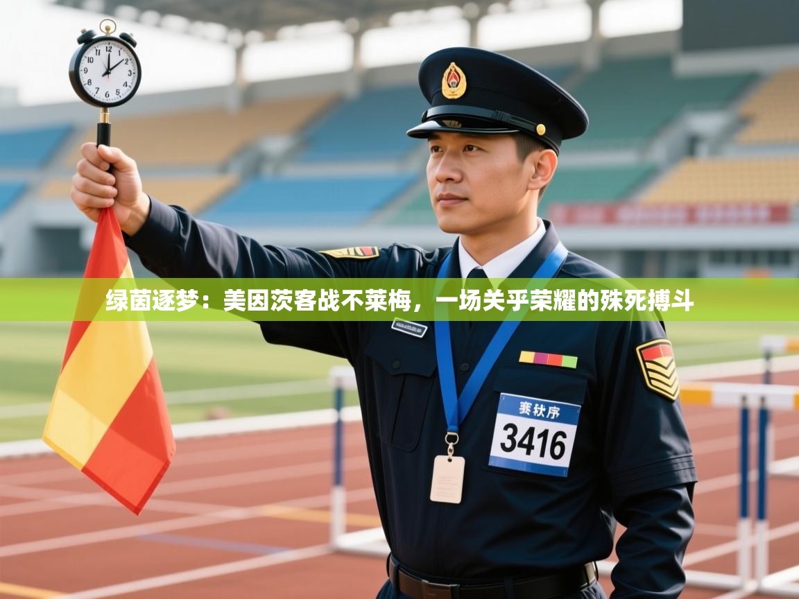 绿茵逐梦:美因茨客战不莱梅,一场关乎荣耀的殊死搏斗 第2张