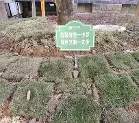 埃尔达卡点娃，上插目，赢月份析城